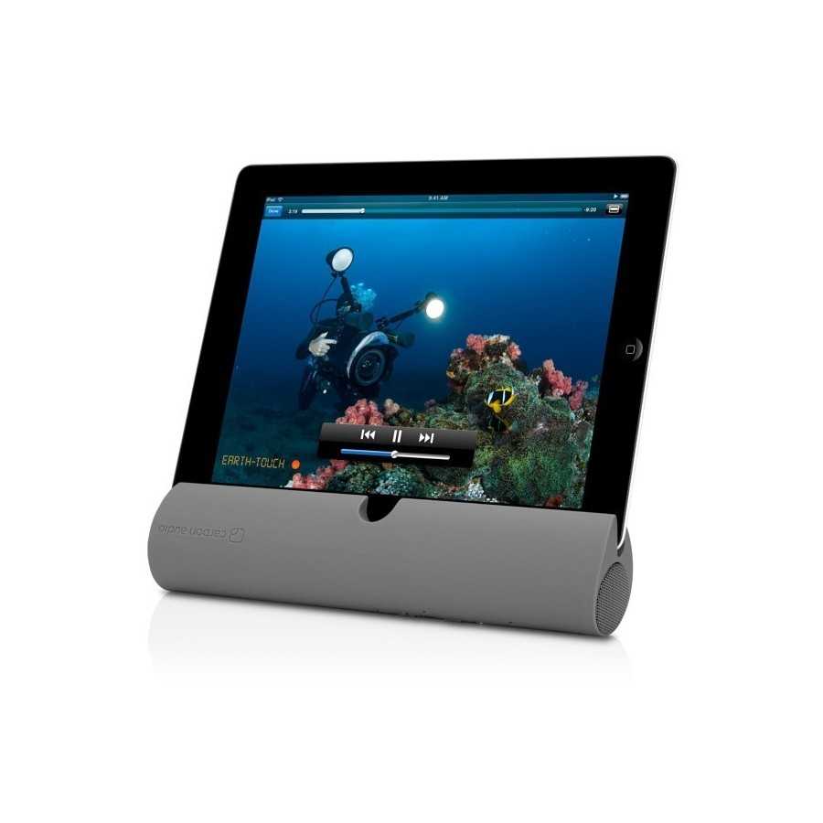 Haut-parleur sans fil Bluetooth Zooka de Carbon Audio Gris