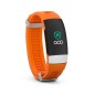 GOO HEALTH WATCH GOO HEALTH WATCH
