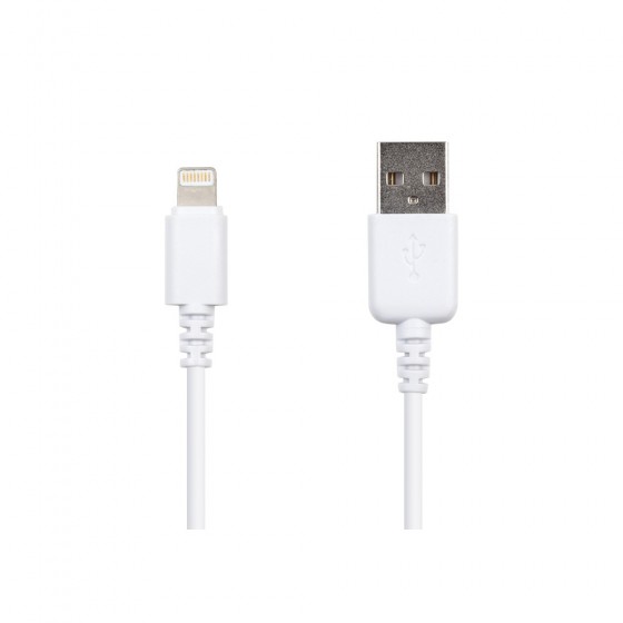 Cable de charge Lightning