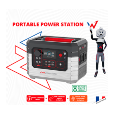 Pack Station 600 w & Panneau solaire 210 W