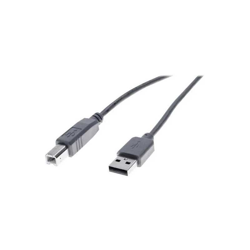 Câble USB - USB (M) pour USB type B (M) - USB 2.0 - 1 m - gris Câble USB - USB (M) pour USB type B (M) - USB 2.0 - 1 m - gris