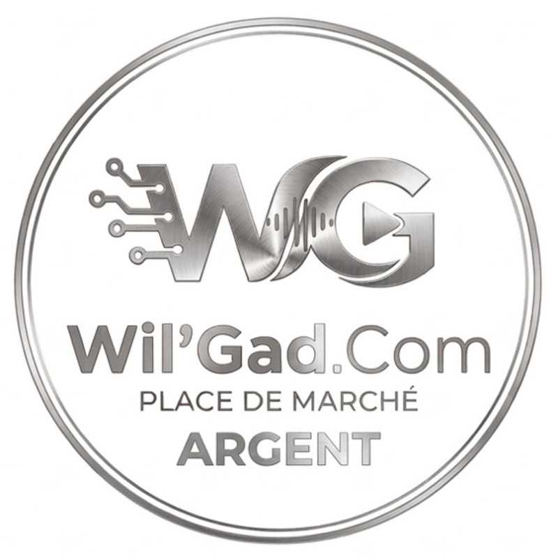 Abonnement Argent Place De Marché Wil'Gad.Com Pack Croissance