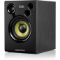 DJ MONITEUR 42 HERCULE 2X40W RMS 80W DJ MONITEUR 42 HERCULE 2X40W RMS 80W