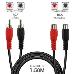 Câble RCA