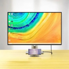 Câble USB-C Mâle vers DisplayPort Mâle 4K/8K (144Hz/60Hz) 1m