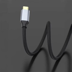Câble USB-C Mâle vers DisplayPort Mâle 4K/8K (144Hz/60Hz) 1m