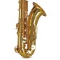 GEWA Germany Saxophone ténor Sib TS650 Ambition