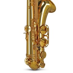 GEWA Germany Saxophone ténor Sib TS650 Ambition