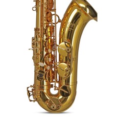 GEWA Germany Saxophone ténor Sib TS650 Ambition
