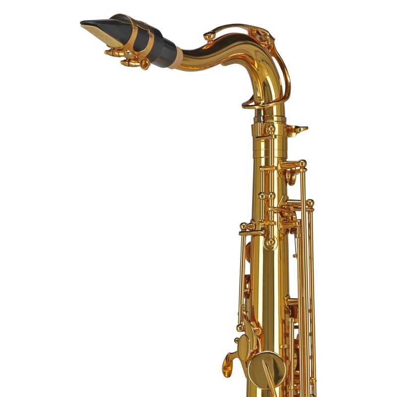 GEWA Germany Saxophone ténor Sib TS650 Ambition GEWA Germany Saxophone ténor Sib TS650 Ambition