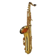 GEWA Germany Saxophone ténor Sib TS650 Ambition