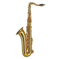 GEWA Germany Saxophone ténor Sib TS650 Ambition