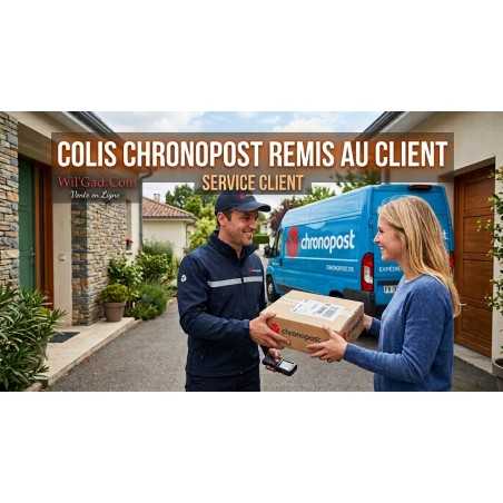 Colis Chronopost Remis Au Client